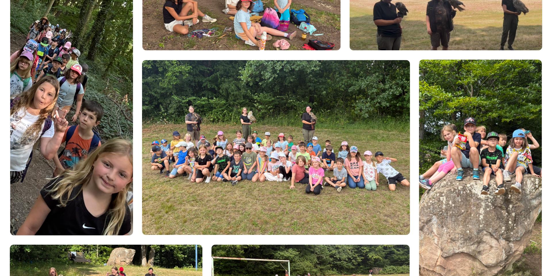 Wandertag Falknerei (c) Maximilian-Kolbe-Grundschule Wandertag Falknerei